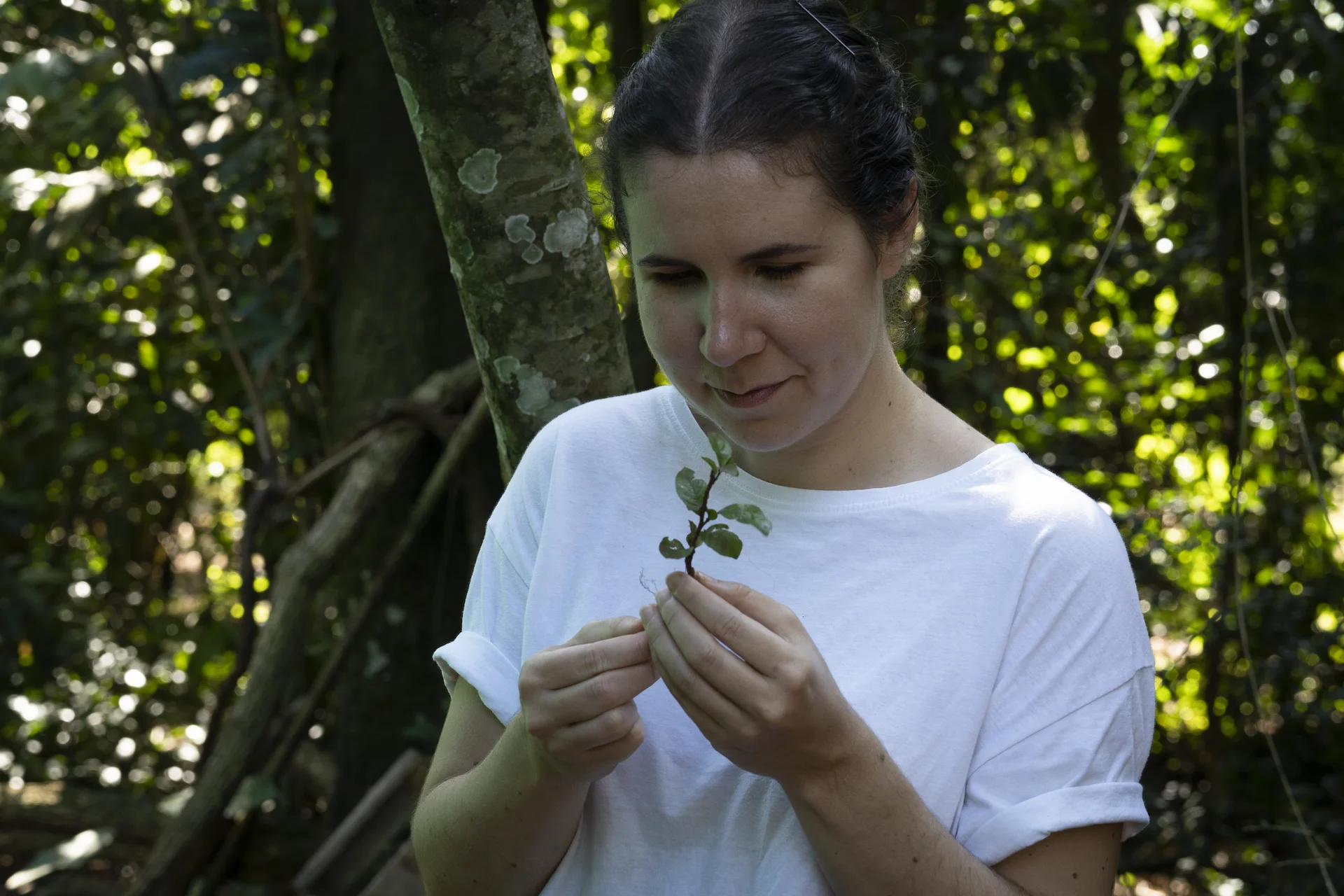 Woman examining a small plant in her hands while standing in a forest surrounded by greenery.