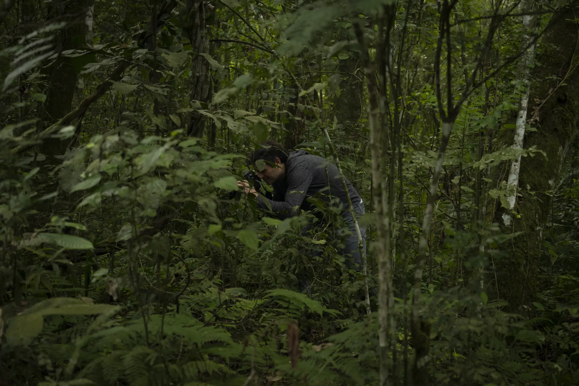 Person photographing plants in a dense forest surrounded by lush green vegetation.