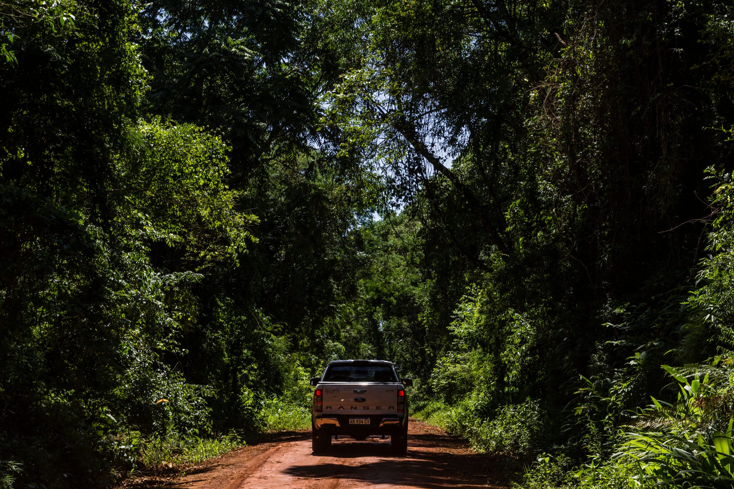 Pickup truck driving on a dirt road through dense forest.