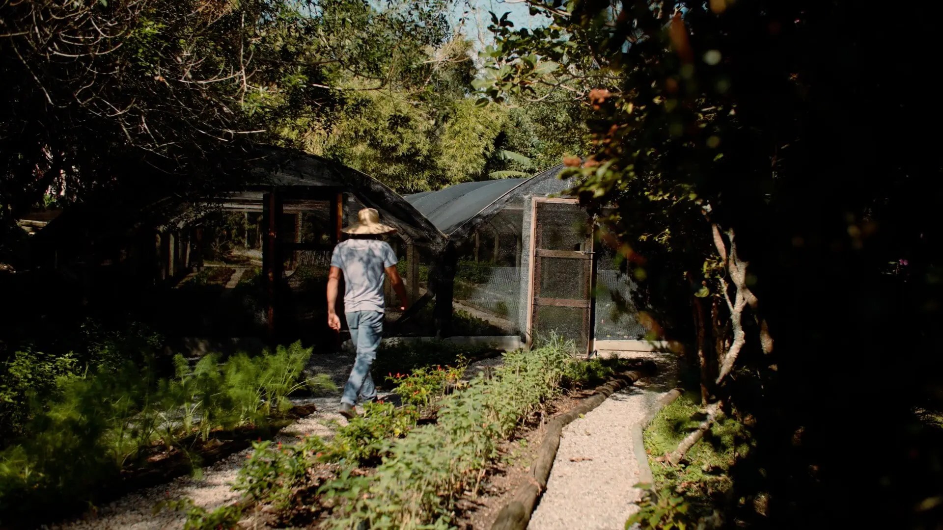 Person walking along a garden path toward a greenhouse, surrounded by lush plants and trees in soft natural light