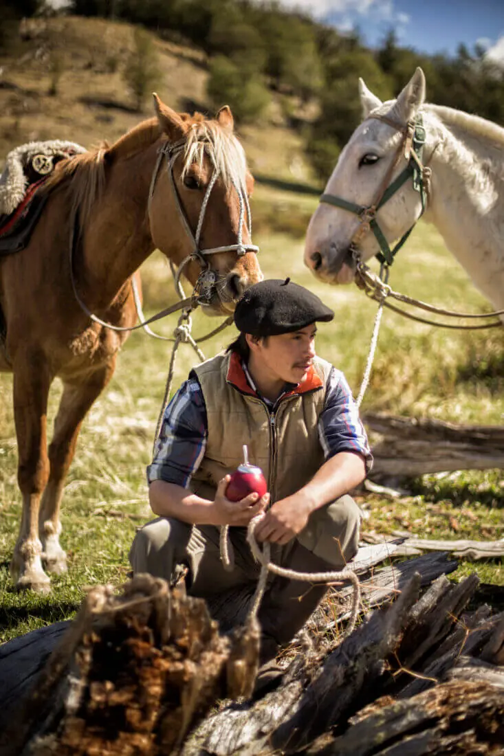 Gaucho holding a mate gourd, resting beside two saddled horses in a sunlit grassy landscape.