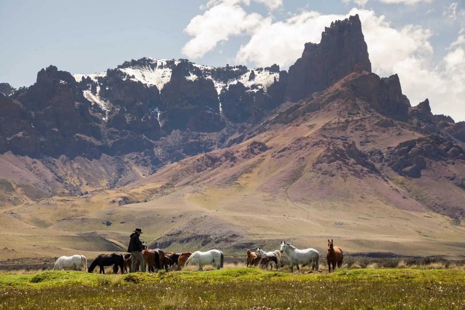 Herd of horses with a rider grazing in a mountain valley beneath rugged peaks and patches of snow.