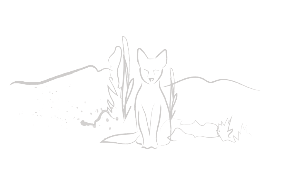 Minimal line drawing of a fox sitting calmly among abstract plants and landscape outlines.