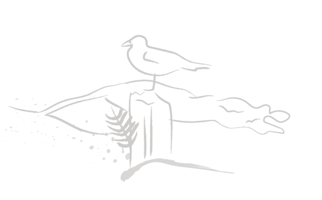 Minimal Line Illustration Of A Bird Perched On A Rocky Cliff With Flowing Landscape Lines In The Background.