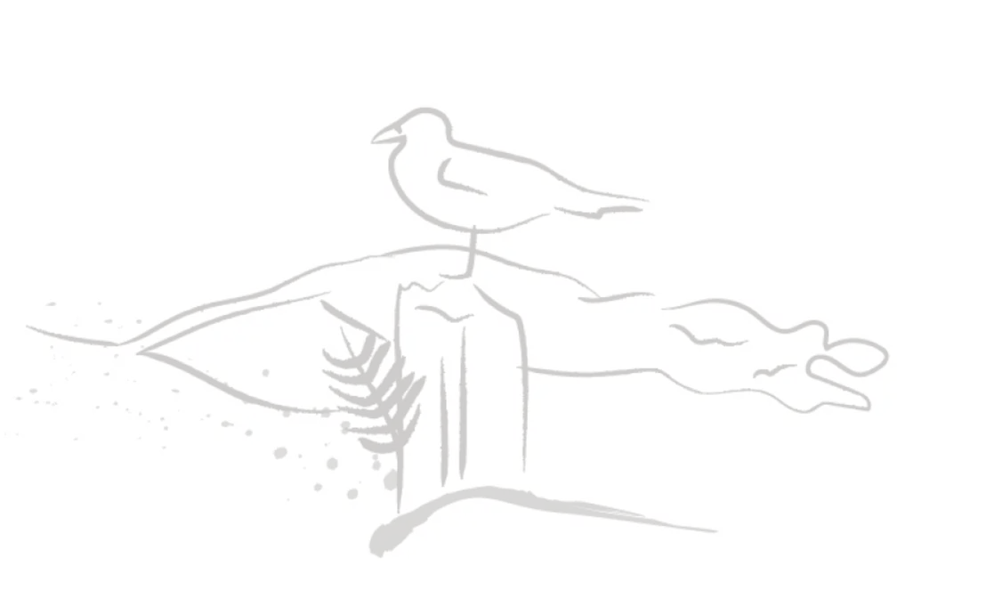 Minimal Line Illustration Of A Bird Perched On A Rocky Cliff With Flowing Landscape Lines In The Background.