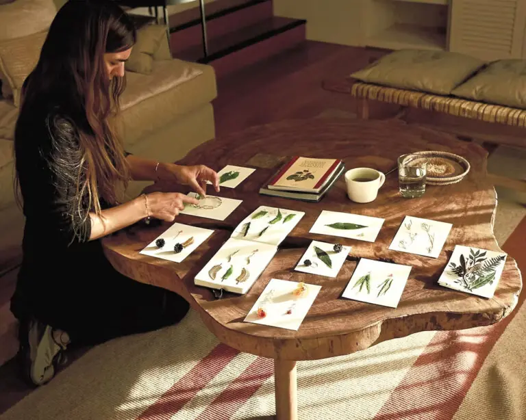 Woman Arranging Botanical Specimens And Plant Illustrations On Wooden Table Indoors.