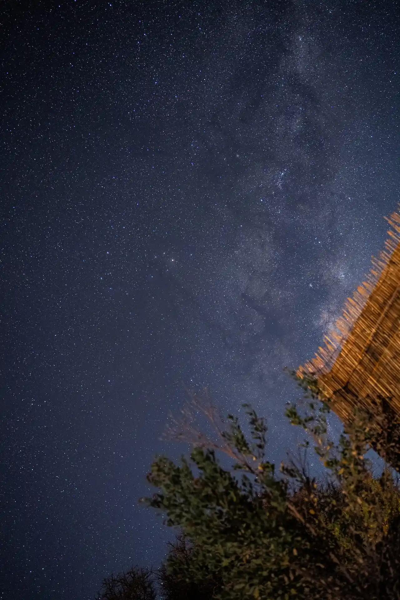 Star‑filled night sky with the Milky Way visible above wooden slats and surrounding foliage.