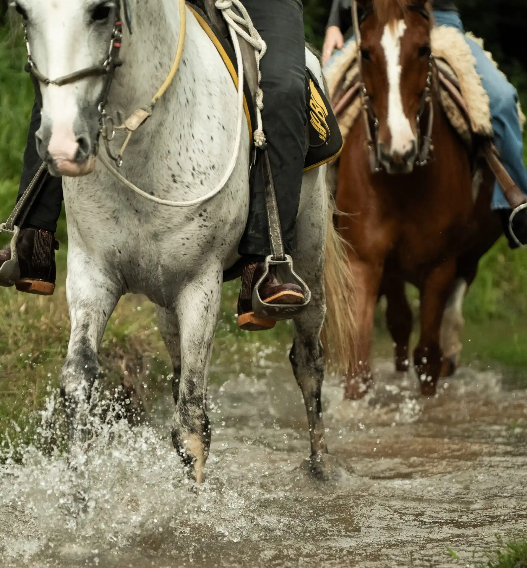 Cachaça Distillery + Horseback Ride