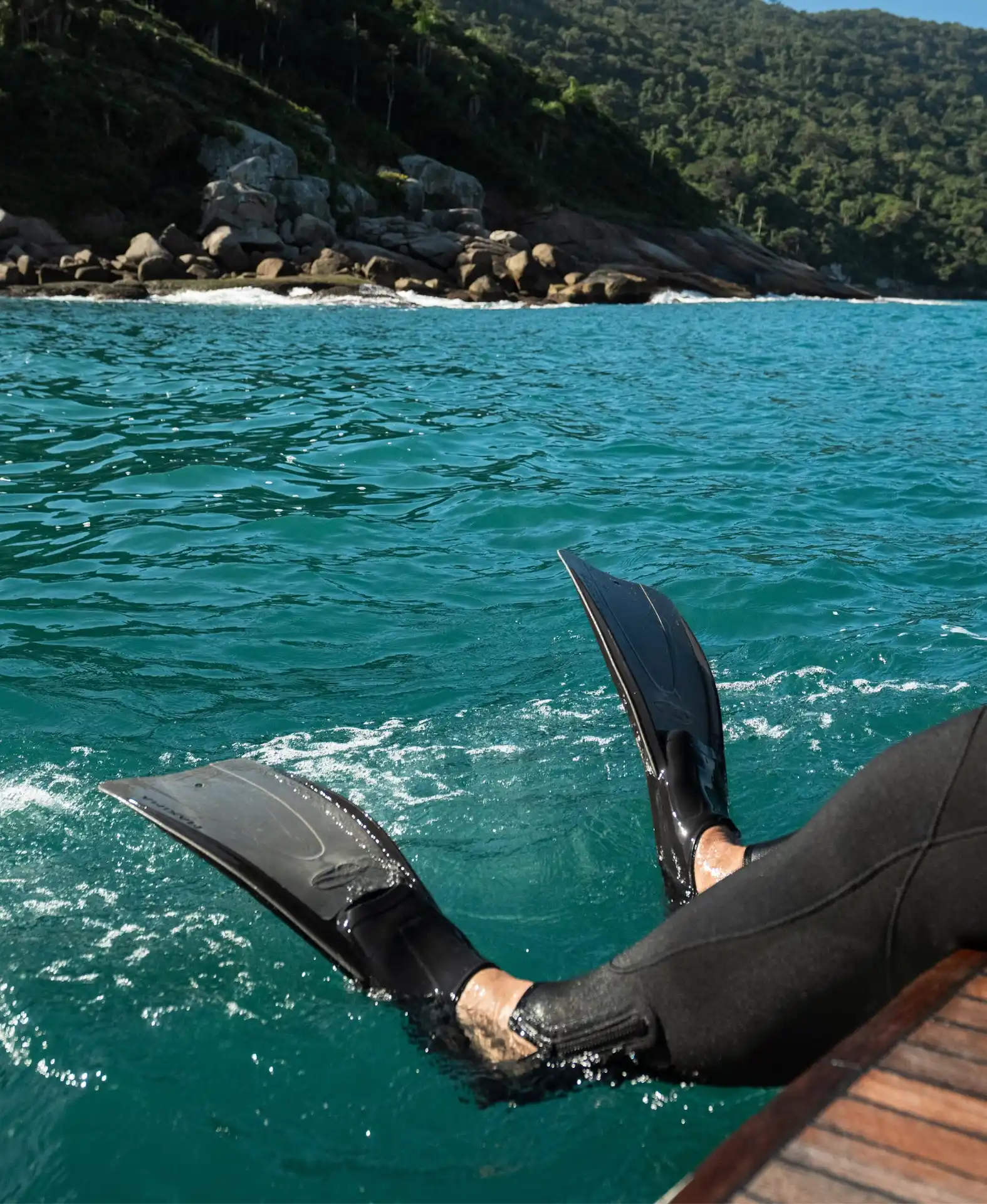 Arvoredo Island Diving