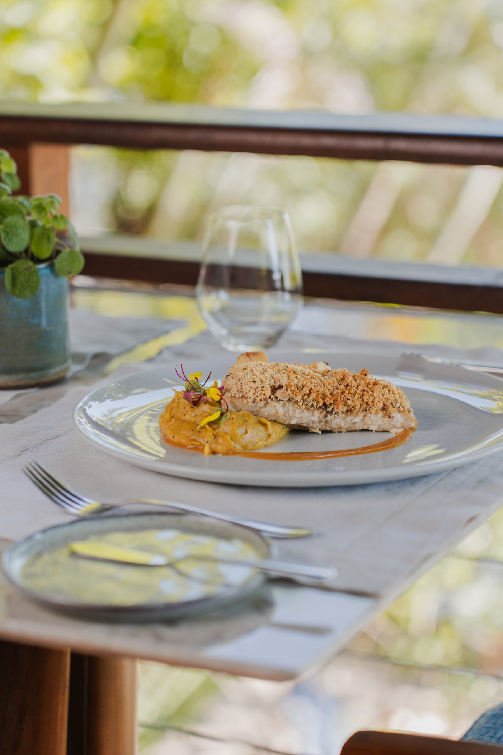 Plated crumb-crusted fish with purée and sauce on a restaurant table by a window, with cutlery and a water glass.