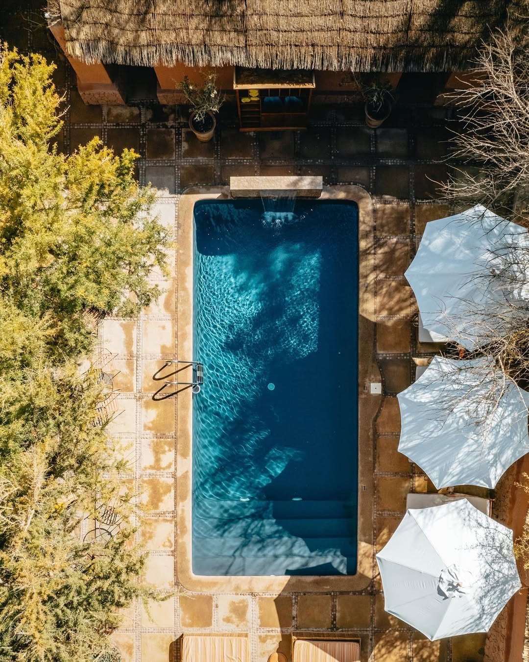 Aerial view of rectangular pool with blue water, white umbrellas, lounge chairs, and surrounding greenery.