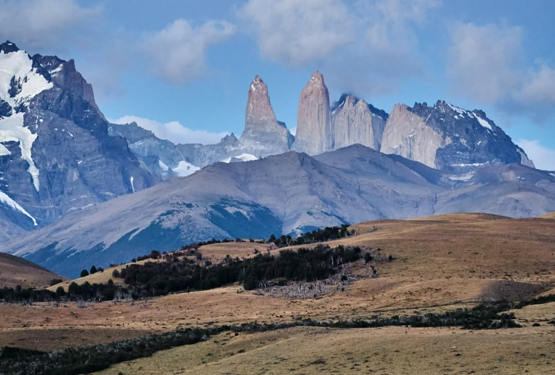 Loma guanaco
