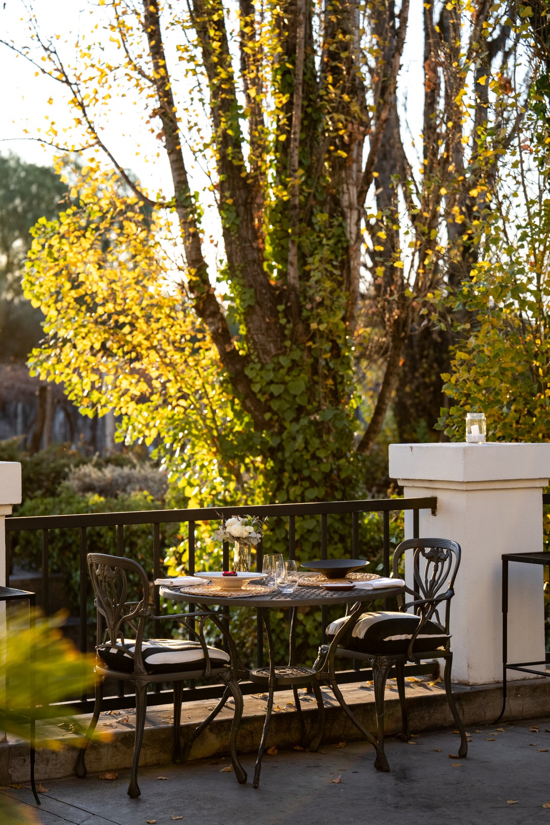 Outdoor patio table set for dining with chairs, flowers, and glassware amid sunlit trees and autumn foliage.