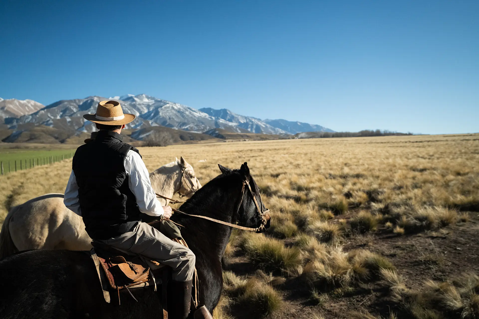 Ranch Experience