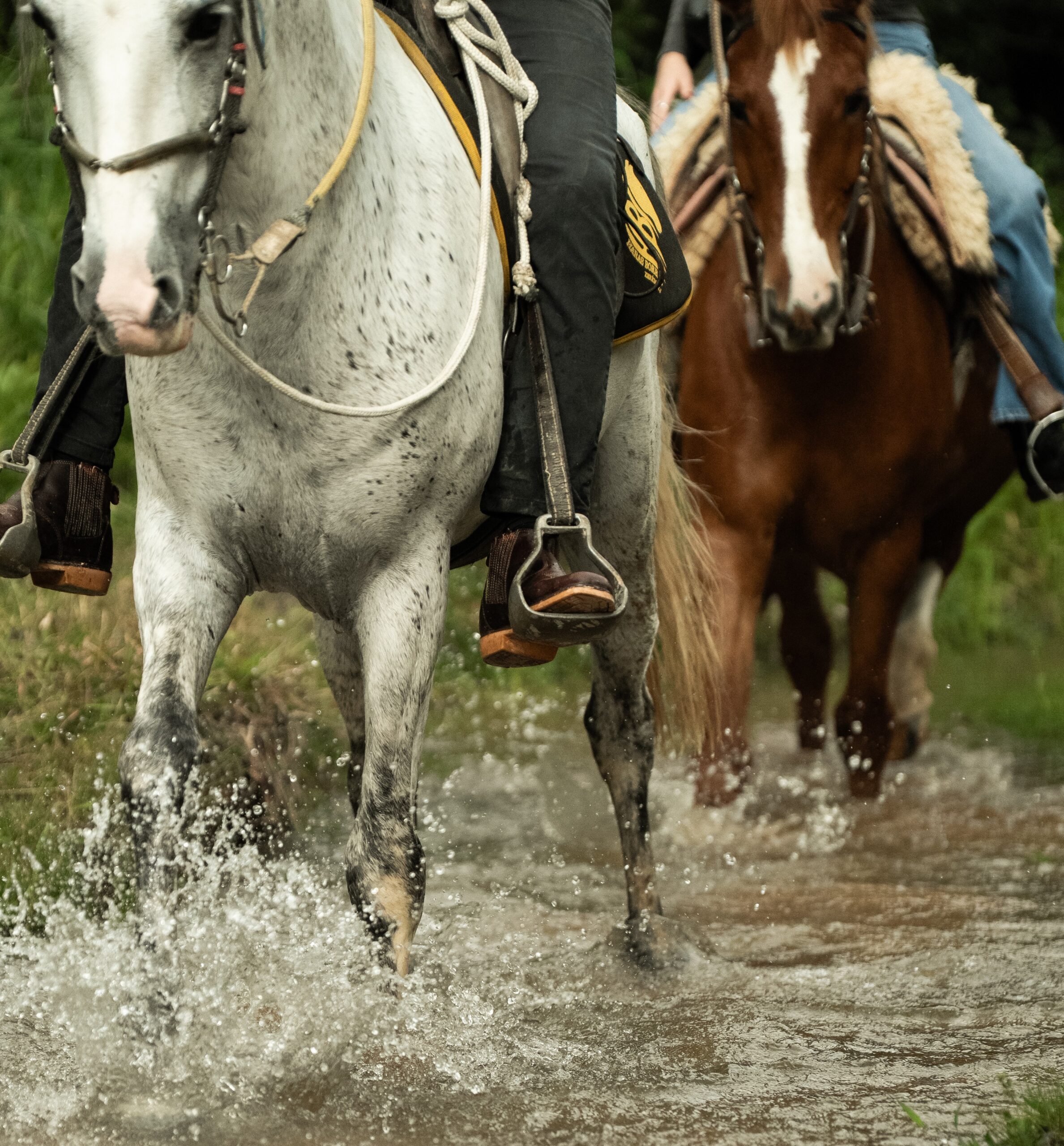 Cachaça distillery + horseback ride