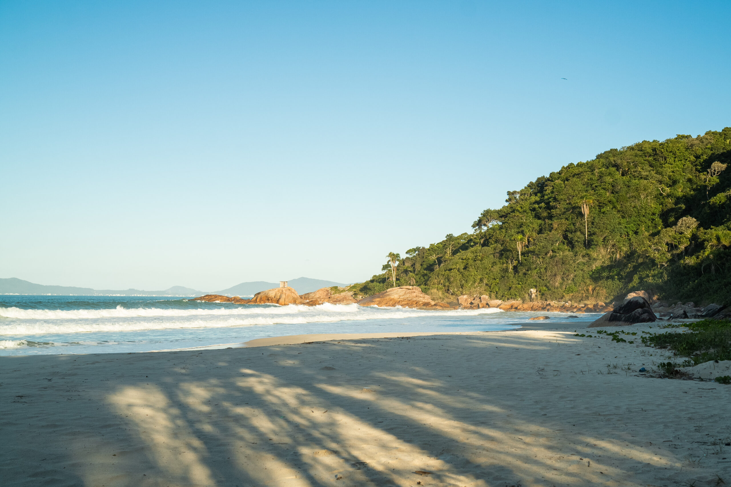 Surf lessons at praia de fora