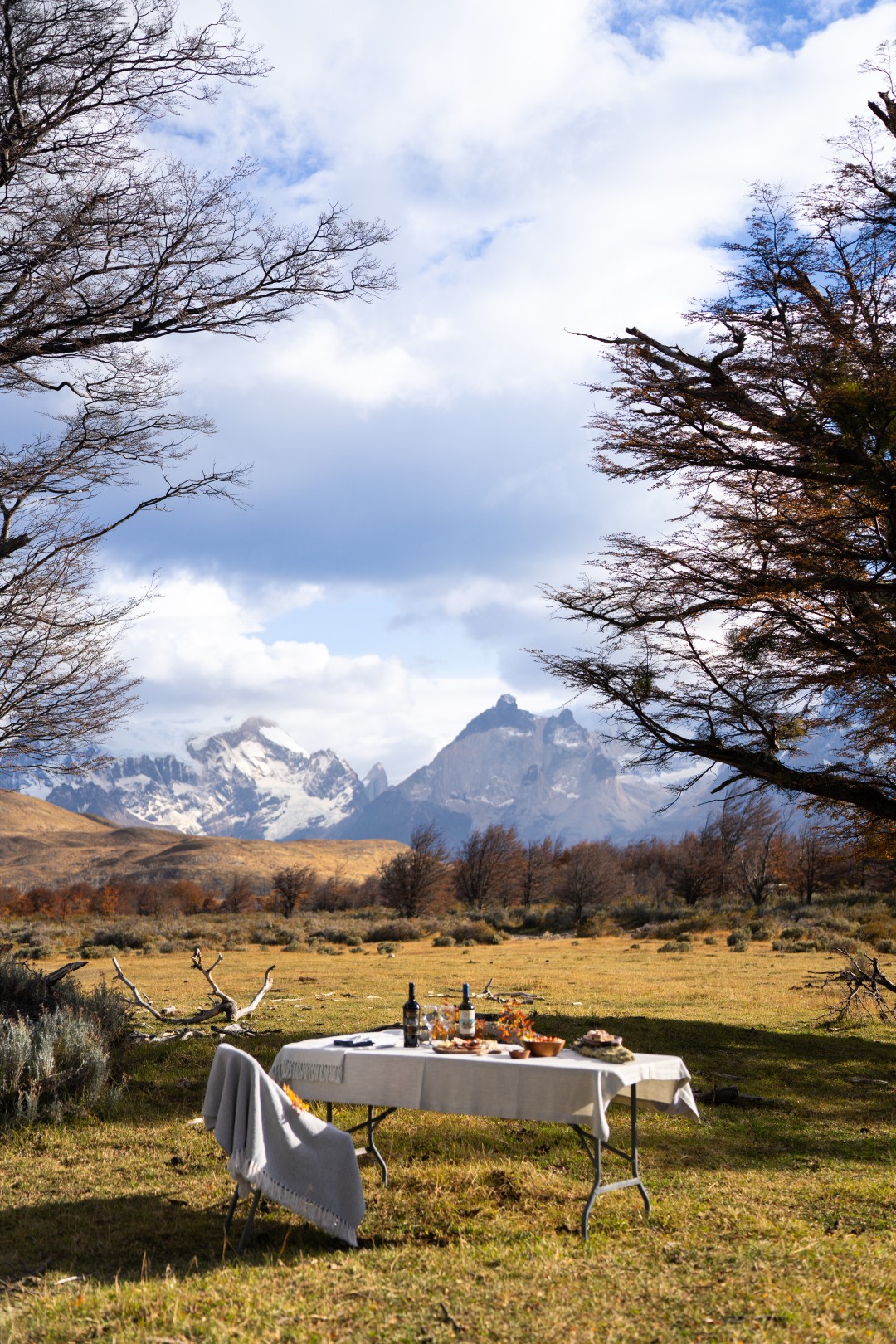 Outdoor dining table set with food and wine in a grassy field, framed by trees and snow-capped mountains in the distance.