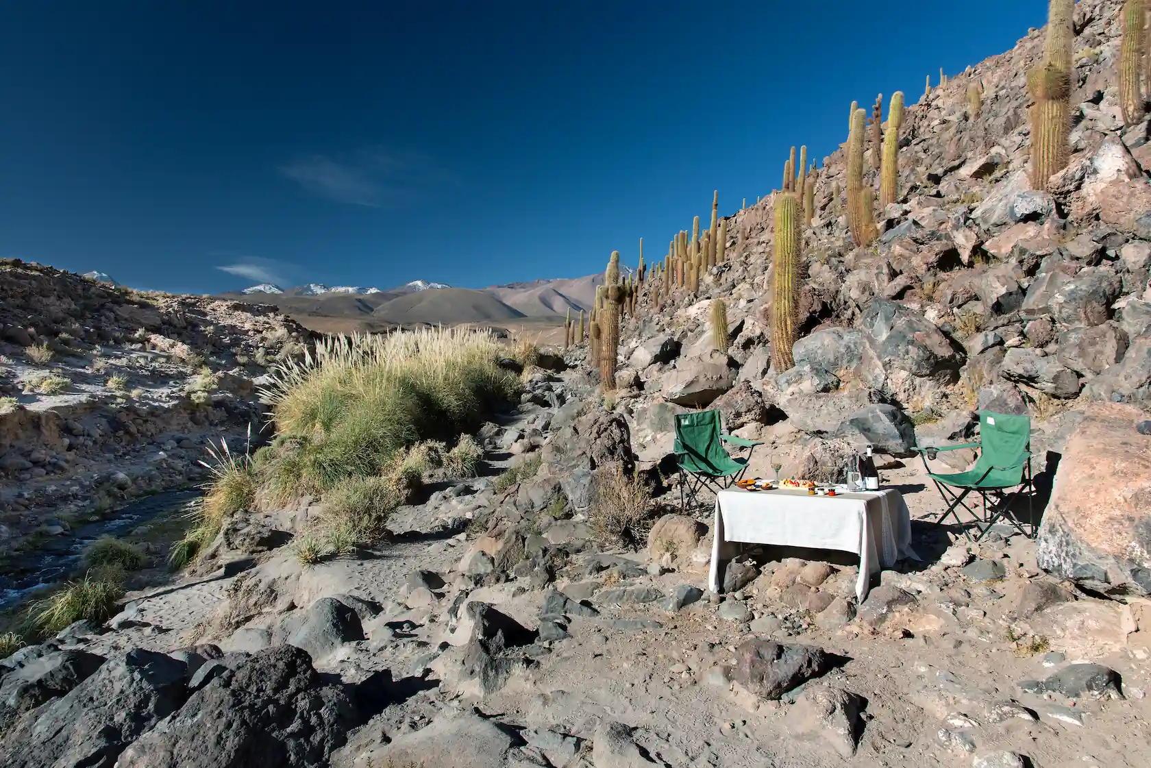 Outdoor dining setup with table and chairs in a rocky desert canyon, surrounded by tall cacti and distant mountains.
