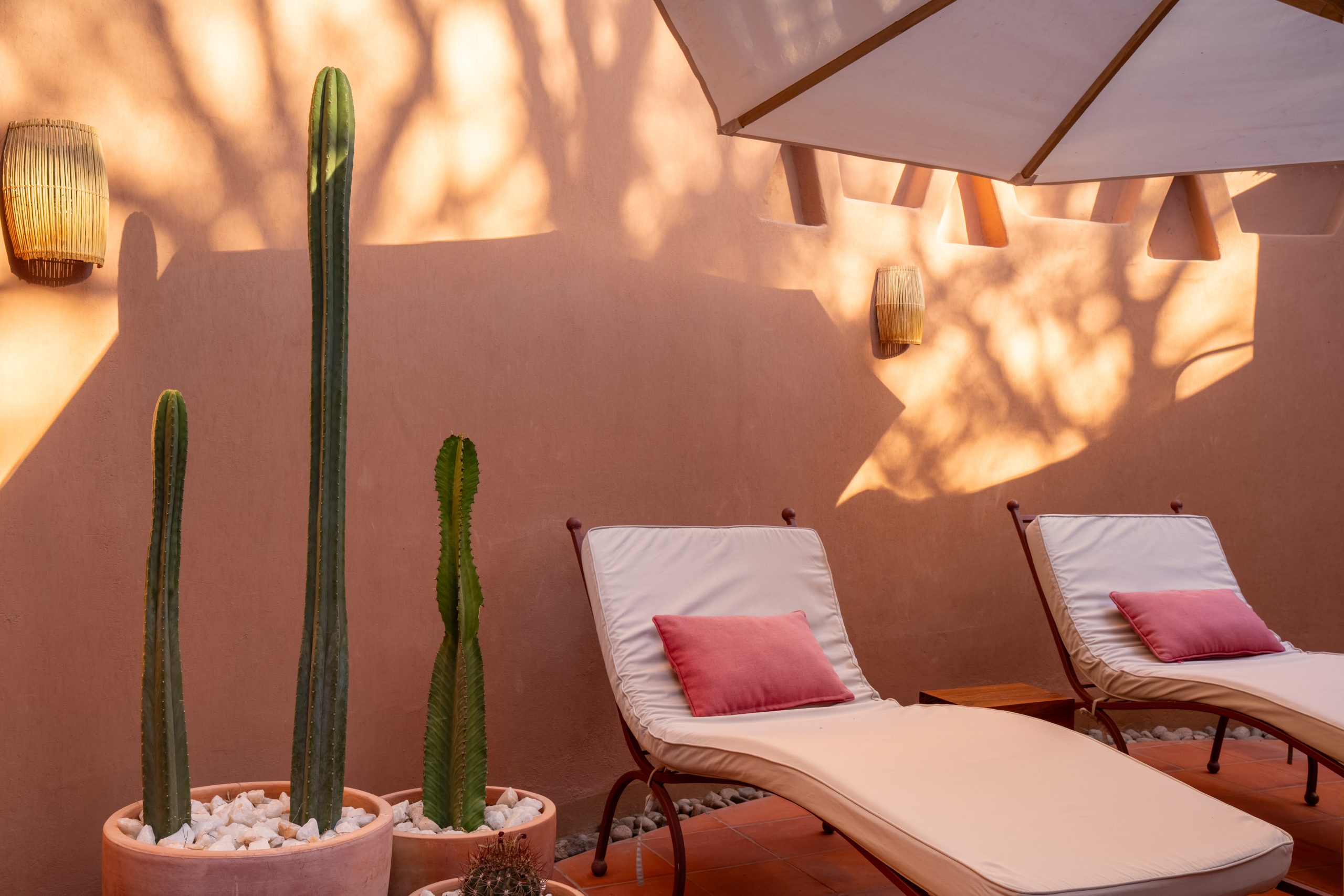 Sunlit patio with lounge chairs, cacti, and adobe-style wall.