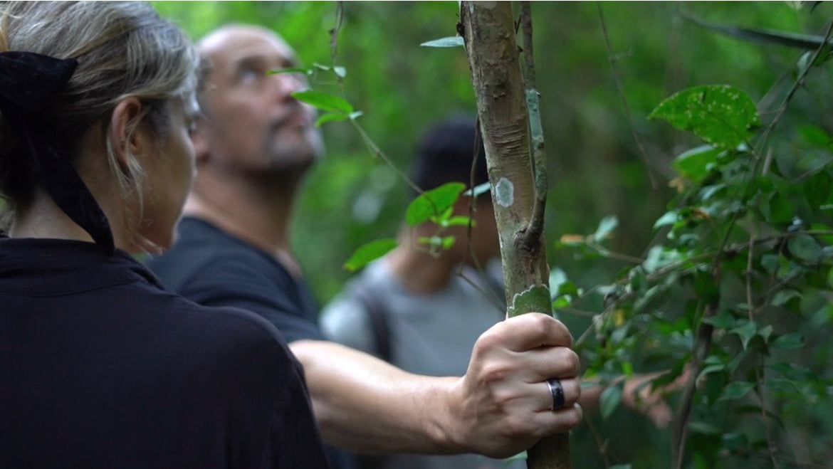 People admiring the nature