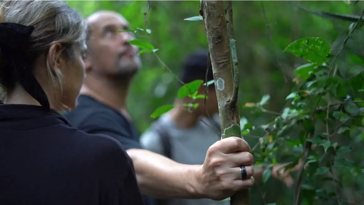 people admiring the nature