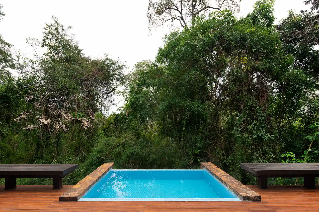 Private plunge pool on a wooden deck surrounded by the Atlantic Rainforest at Awasi Iguazu