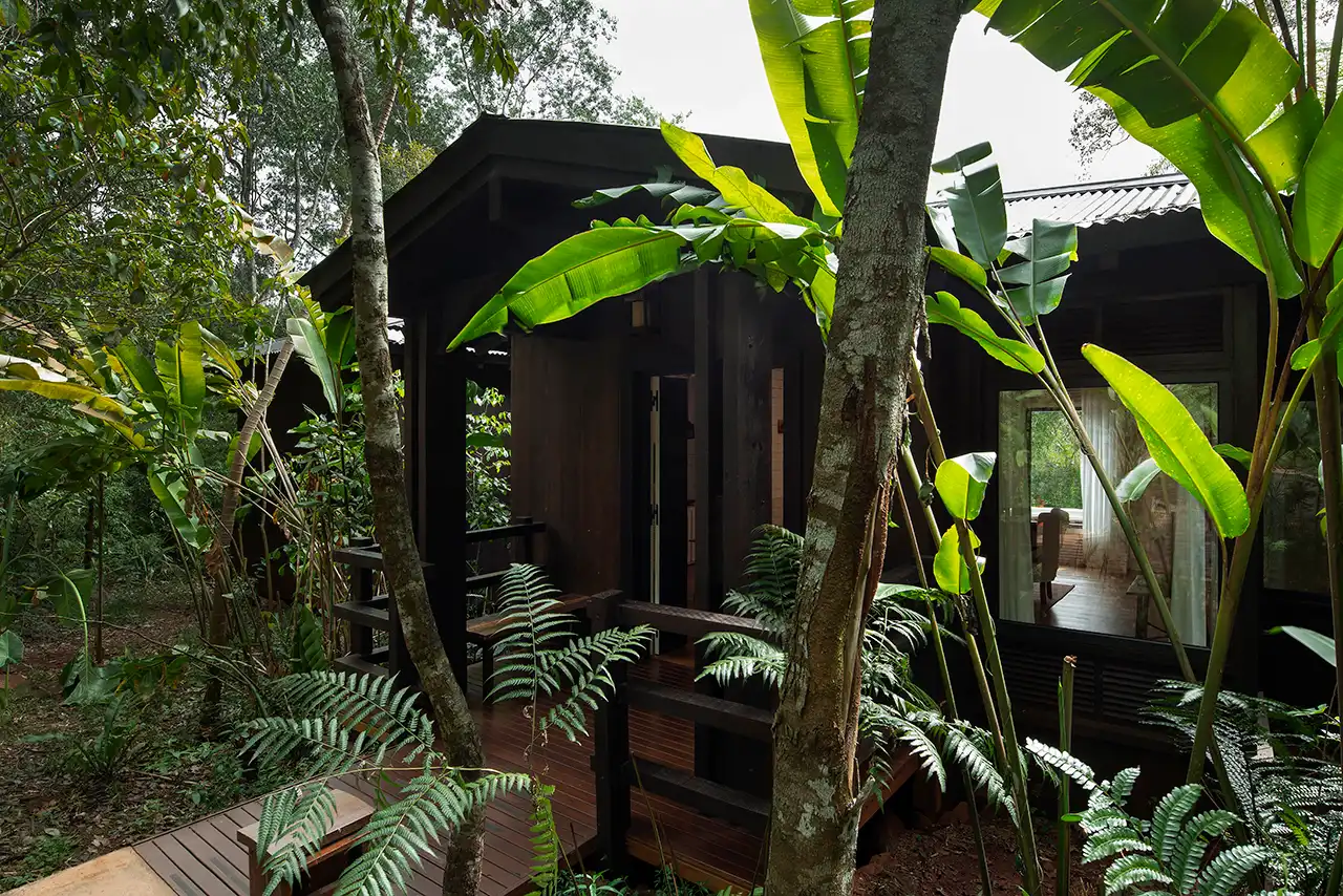 Modern wooden cabin surrounded by dense tropical greenery.
