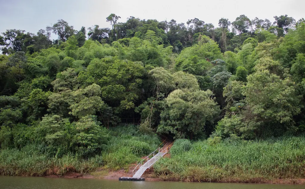 Staircase leading from the water into dense green forest.
