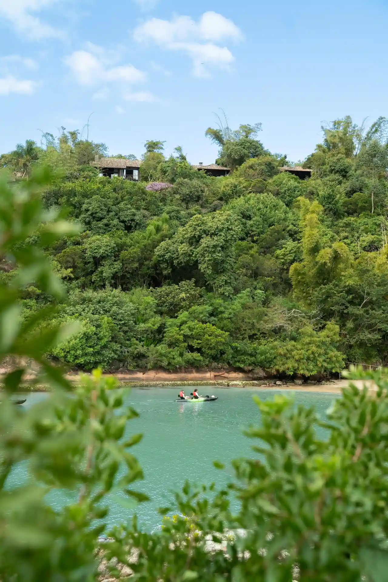 Two people kayaking near a beach surrounded by lush vegetation