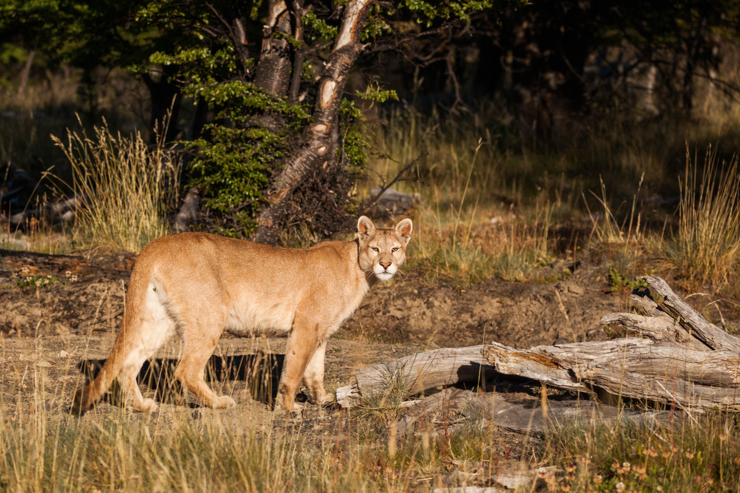 160212 tp 023 2 scaled