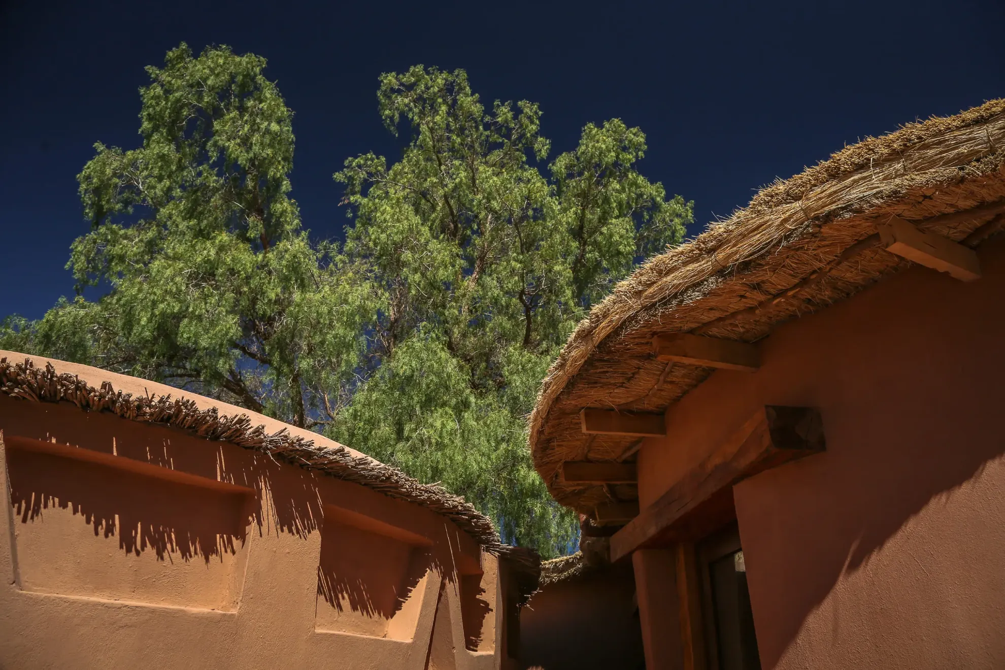 Adobe-Style Buildings With Thatched Roofs Beneath Tall Green Trees And A Deep Blue Desert Sky.