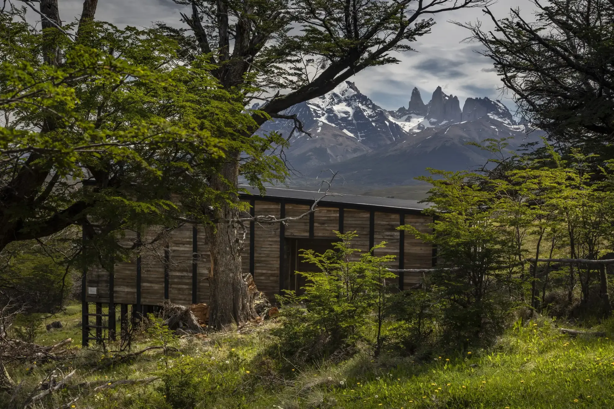 Modern Wooden Cabin Surrounded By Trees With Snow-Capped Mountain Peaks Rising In The Background.