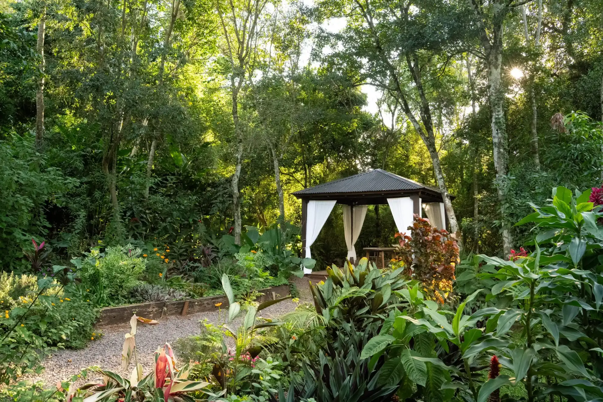 Lush Tropical Garden With A Small Gazebo Surrounded By Dense Greenery And Flowering Plants.