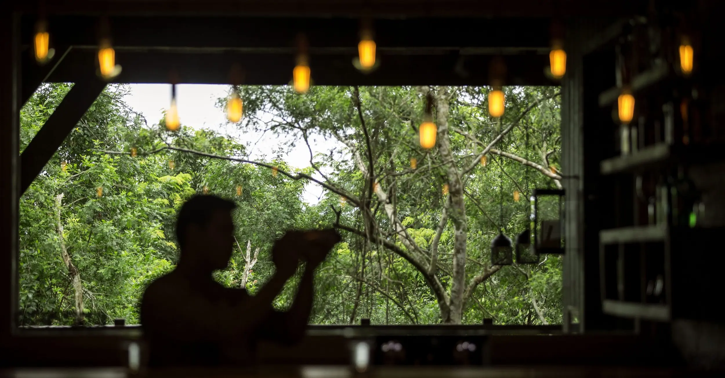 Silhouette Of A Person Indoors Against A Large Window Overlooking Dense Tropical Forest And Hanging Lights.