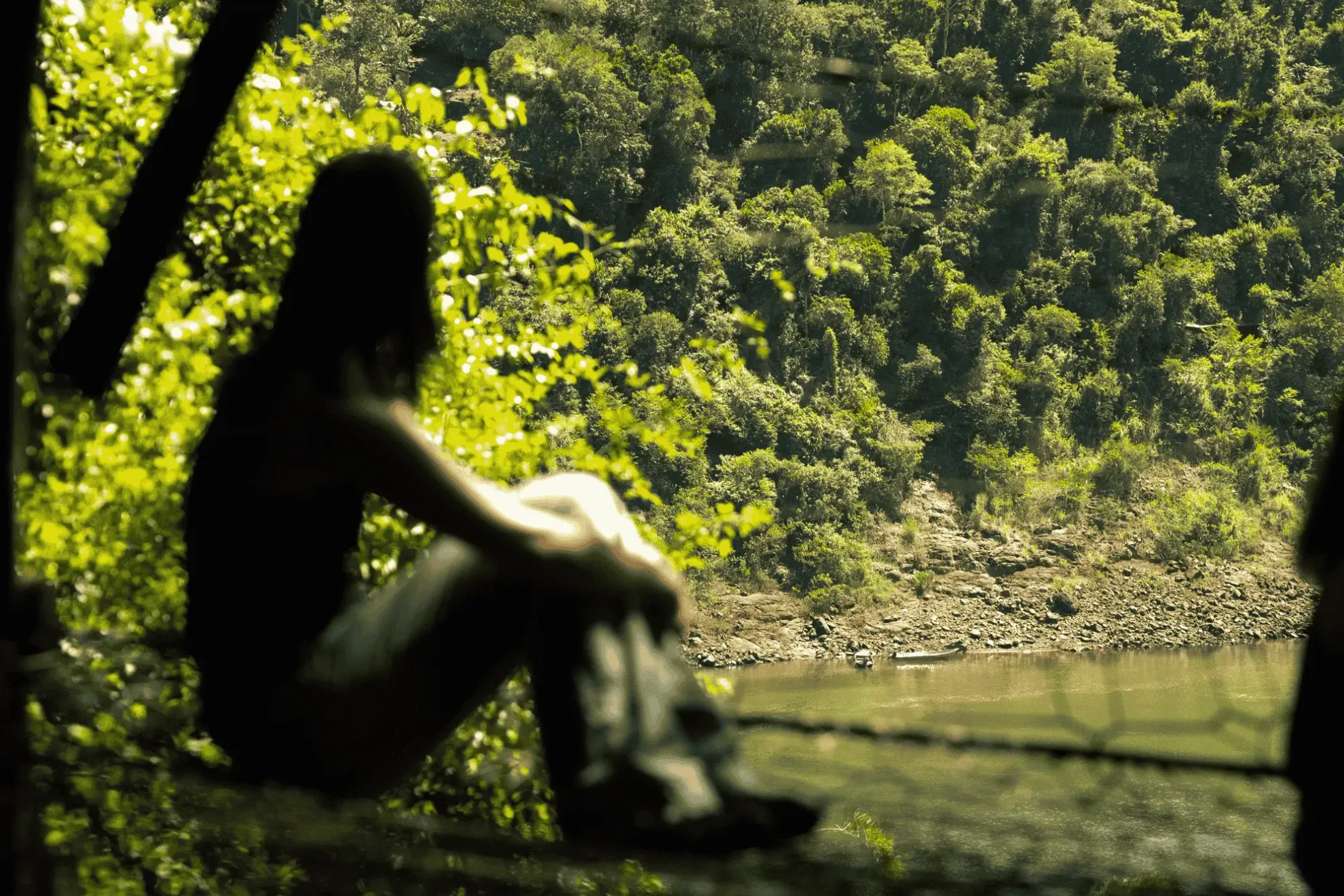 Silhouette Of A Person Overlooking A River And Dense Rainforest From A Shaded Riverside Viewpoint.