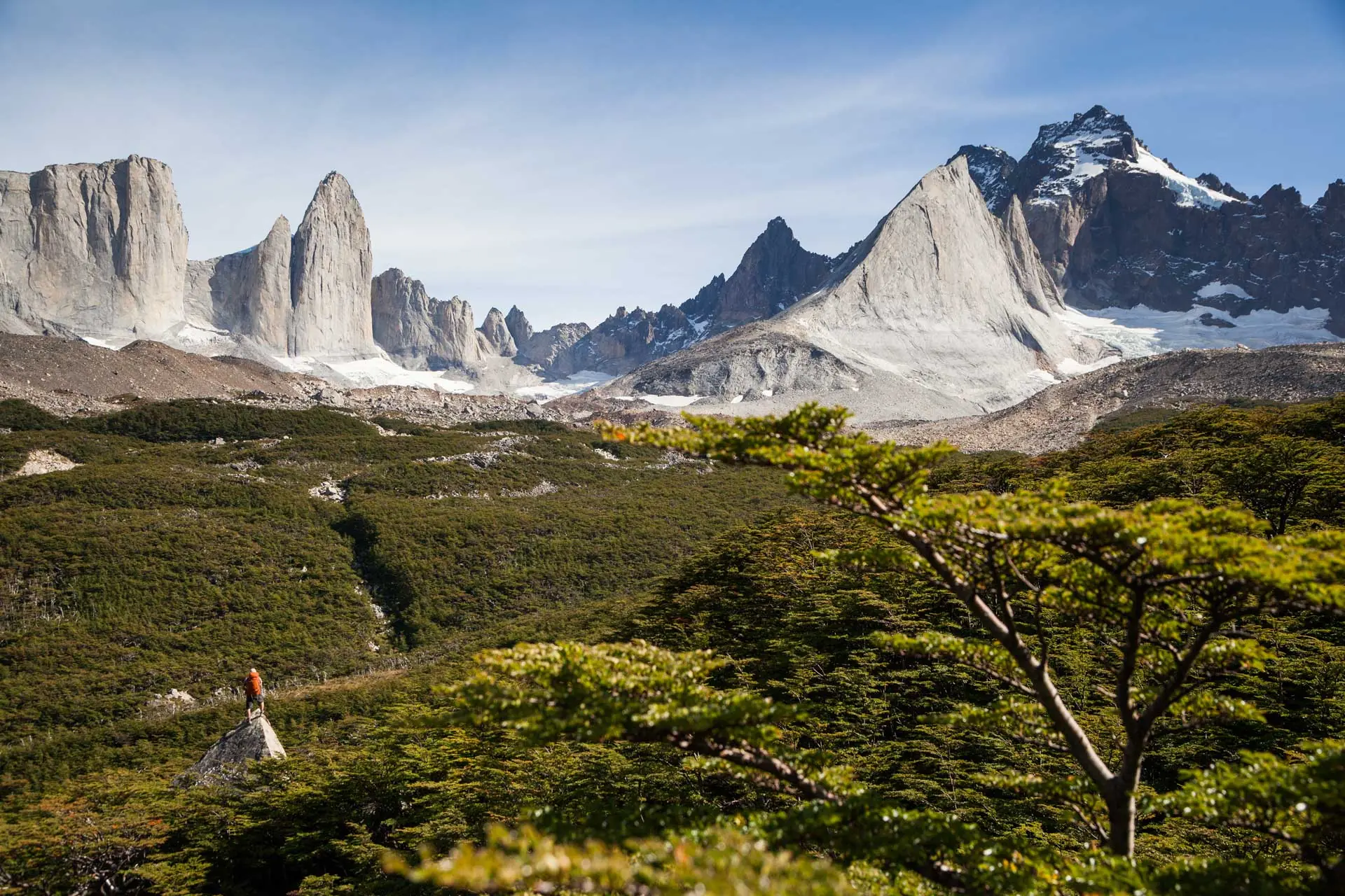 A Lone Hiker Stands On A Rock Before Vast Green Forests And Dramatic Mountain Peaks.