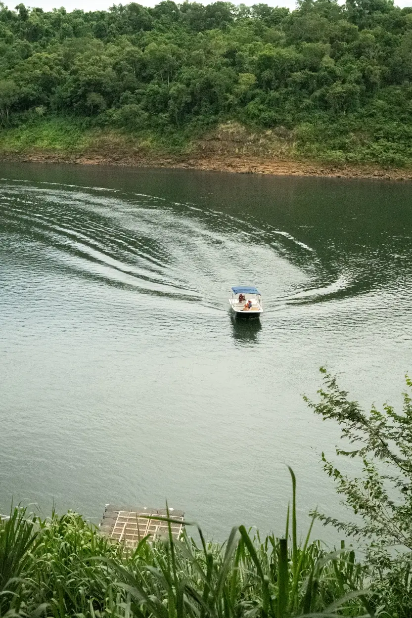 Small Motorboat Creating Ripples Across A Calm River Bordered By Dense Green Forest.