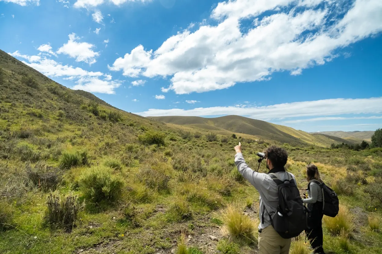 Two hikers with backpacks stand in a grassy valley under a bright blue sky with scattered clouds.