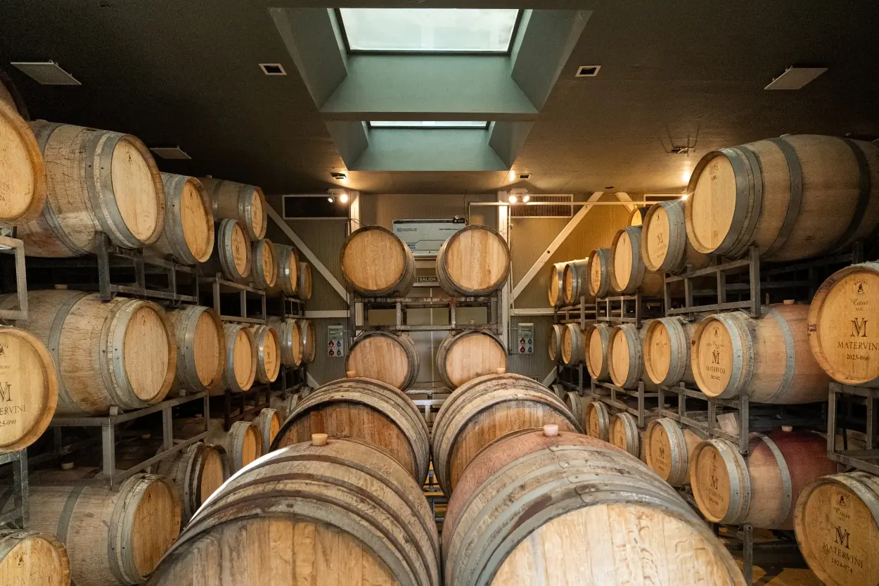 Rows Of Wooden Wine Barrels Stacked Inside A Dimly Lit Winery Cellar Beneath Skylights.