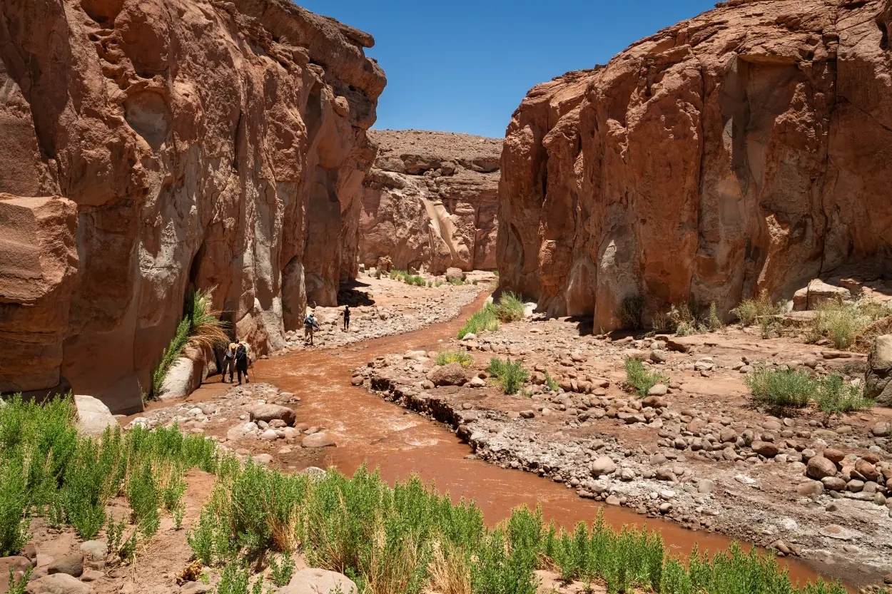 Hikers Walking Through A Red Rock Canyon With A Shallow Stream Under A Clear Blue Sky.