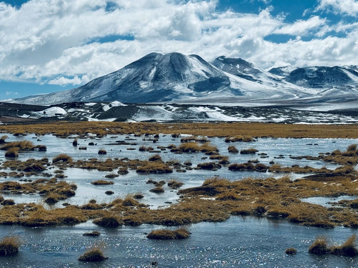 Adriana rios - team awasi atacama 2026 photo contest
