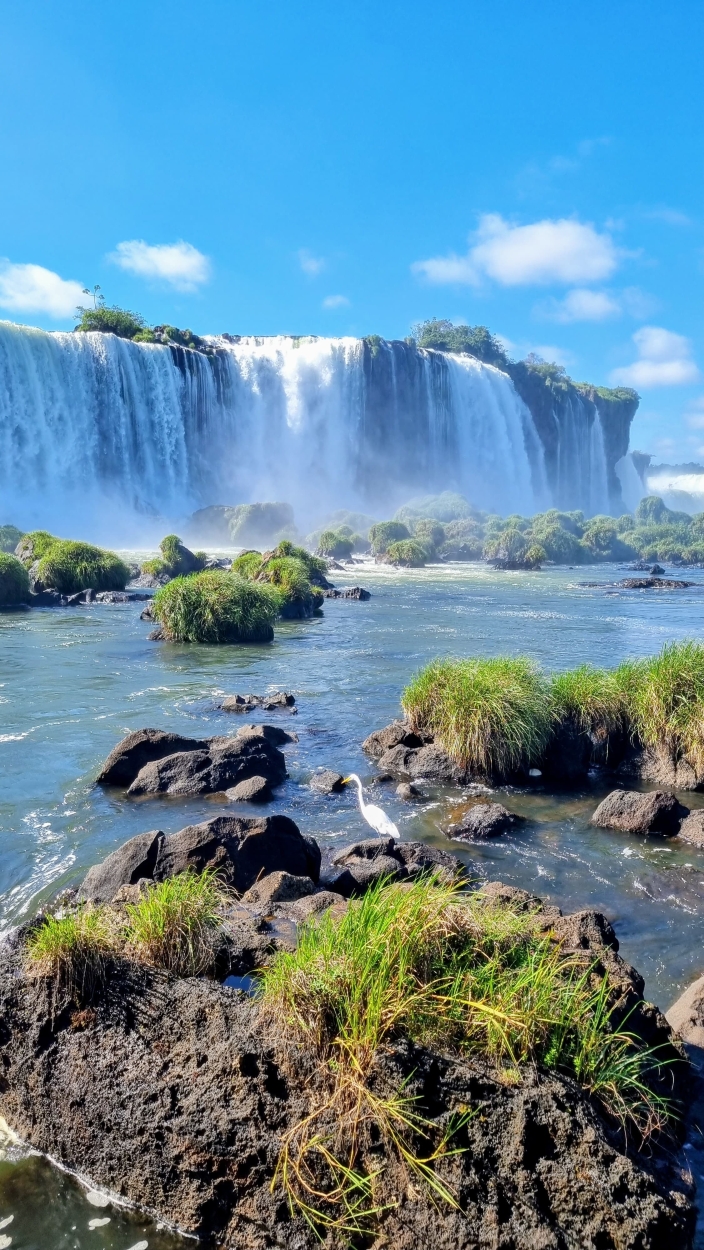 Amelin zemunich - team awasi iguazu 2026 photo contest