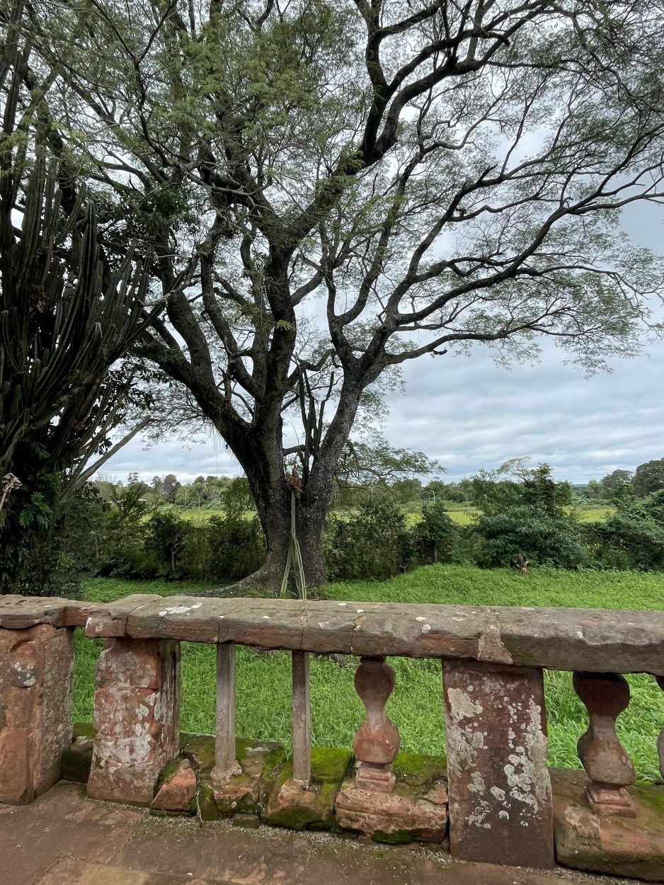 Astrid gomez - team awasi iguazu 2026 photo contest