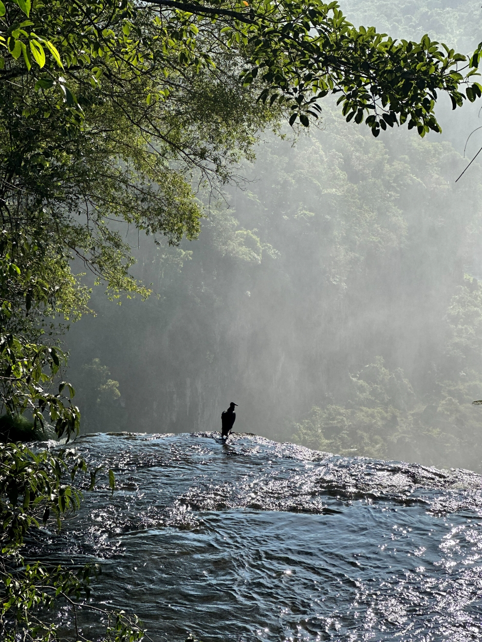 Ayelen de leon belloc - team awasi iguazu 2026 photo contest