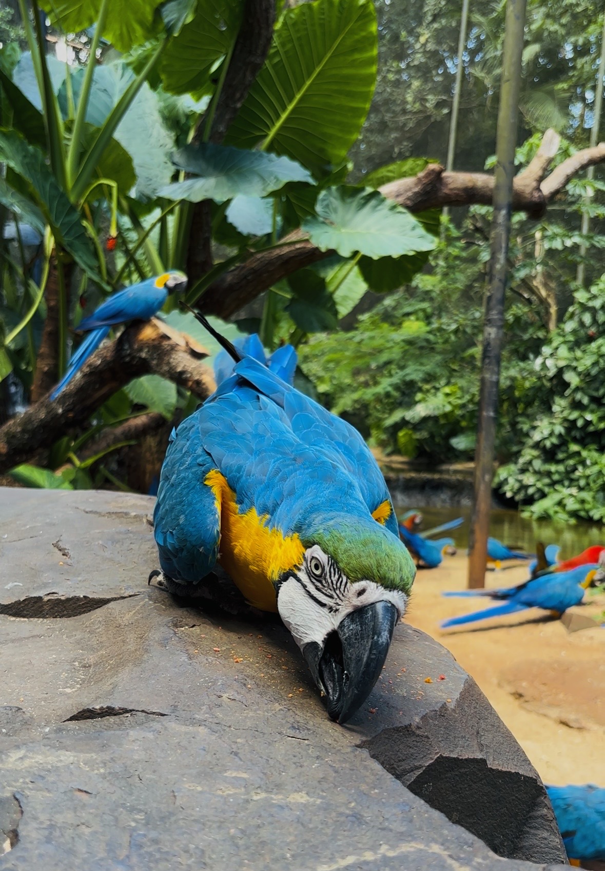 Camila belen rotta - team awasi iguazu 2026 photo contest