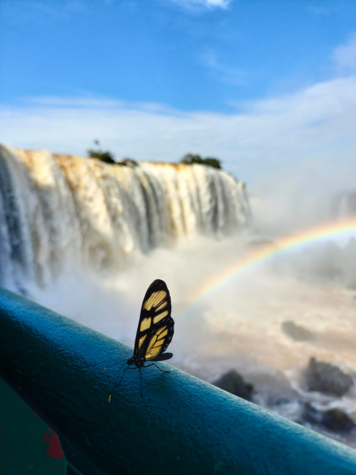 Camila fernanda rodriguez - team awasi iguazu 2026 photo contest