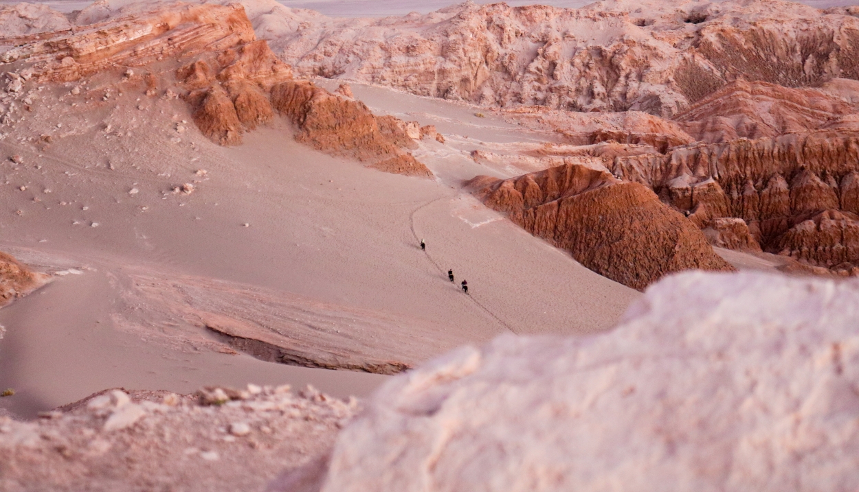 Claudia painian - team awasi atacama 2026 photo contest