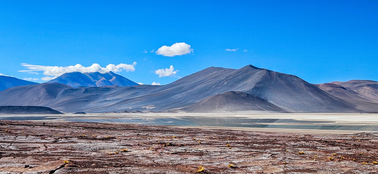 Claudia ortega - team awasi atacama 2026 photo contest