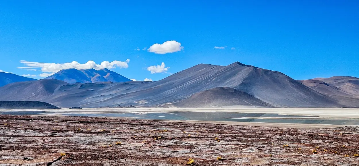 Claudia ortega - team awasi atacama 2026 photo contest