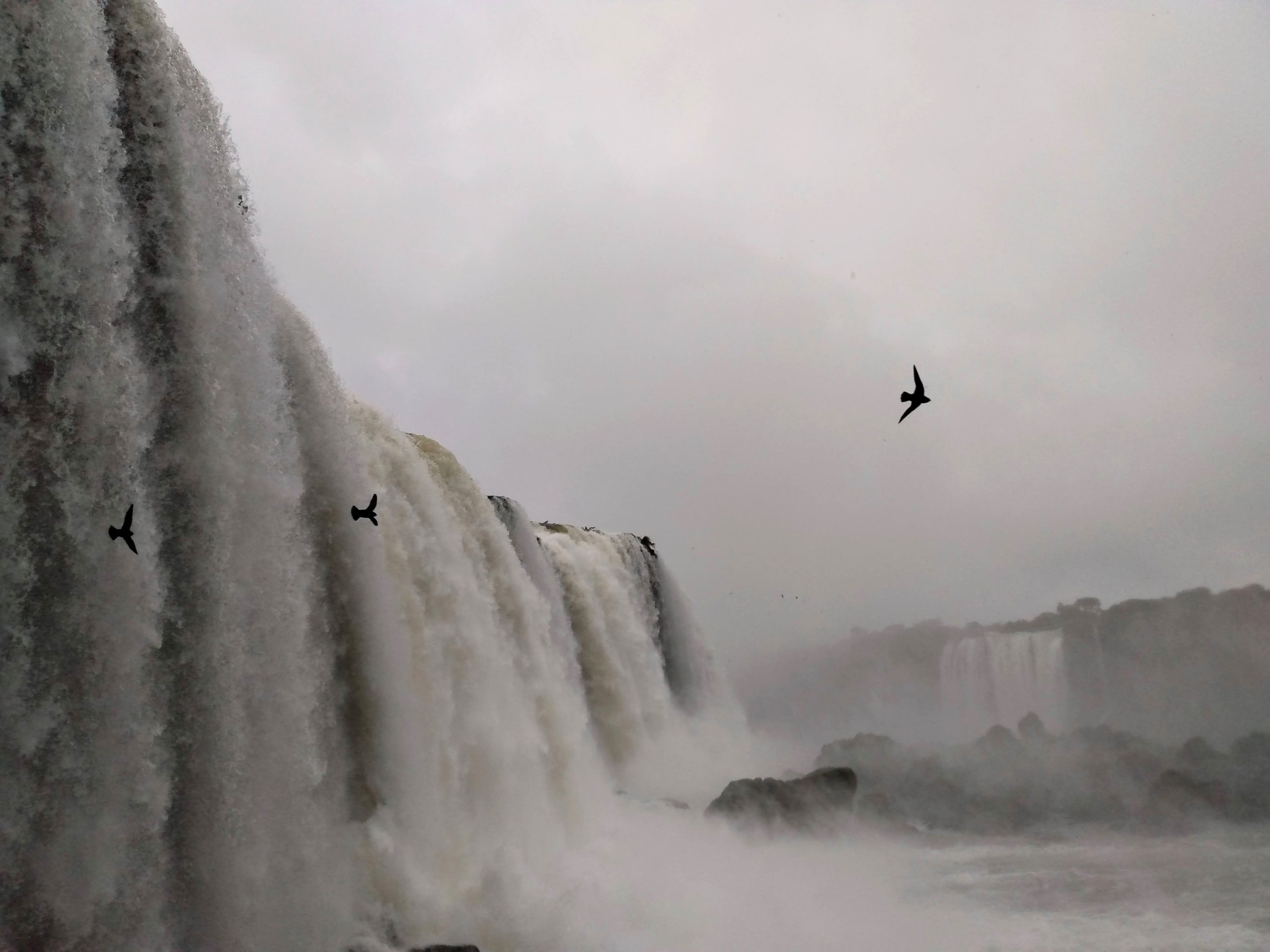 Daniela minniti - team awasi iguazu 2026 photo contest